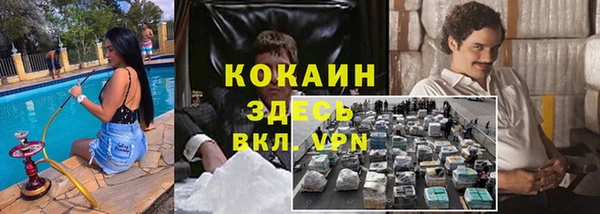 стаф Алексин