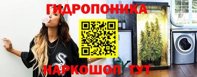 эйфоретик Камышлов