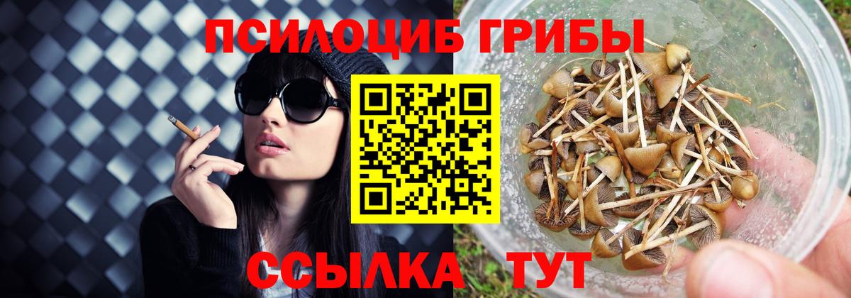 Галлюциногенные грибы прущие грибы Челябинск